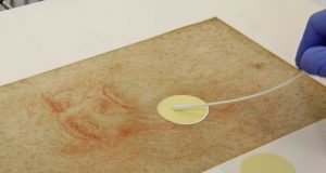 Lukisan Da Vinci Menyembunyikan Kehidupan Mikrobioma yang Menakjubkan Para peneliti mengumpulkan sampel mikroba dari lukisan da Vinci ‘Potraitof Man in Red Chalk’ (Pinar et al., Frontiers, 2020)