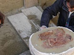 Para peneliti mengangkat sisa-sisa jenazah bayi kembar dari sebuah pemakaman kuno di Krems-Wachtberg, Austria. (Orea Öaw)