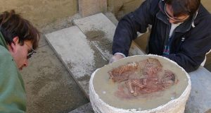 Makam Bayi Kembar Tertua di Dunia Ditemukan di Austria Para peneliti mengangkat sisa-sisa jenazah bayi kembar dari sebuah pemakaman kuno di Krems-Wachtberg, Austria. (Orea Öaw)
