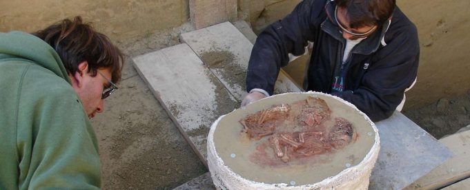 Para peneliti mengangkat sisa-sisa jenazah bayi kembar dari sebuah pemakaman kuno di Krems-Wachtberg, Austria. (Orea Öaw)
