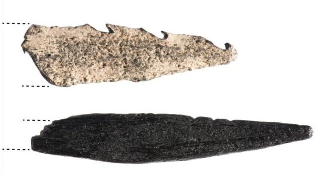 (RJ Looman/Faculty of Archaeology - Universiteit Leiden)