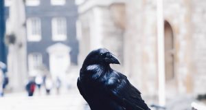 (Kasturi Roy/Unsplash)