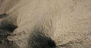 (Timilica T/ Unsplash)