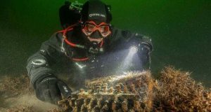 Ditemukan Mesin Kode Rahasia NAZI di Laut Baltik