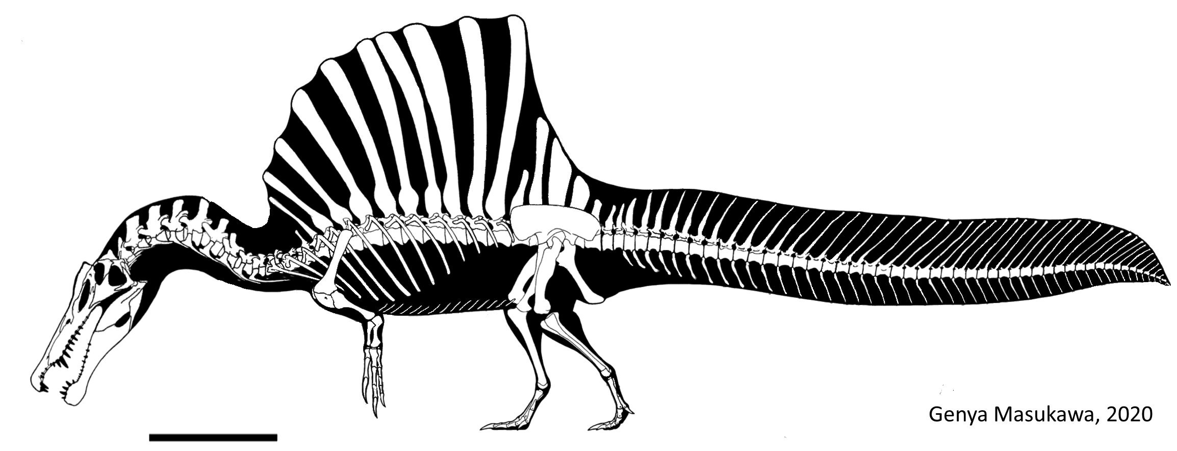 Spinosaurus