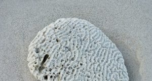 (Michèle Hilbers/Unsplash)