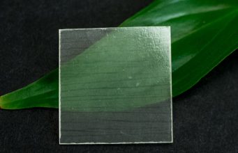 Cara Membuat Kayu Transparan yang Lebih Kuat dan Lebih Ringan Kayu transparan