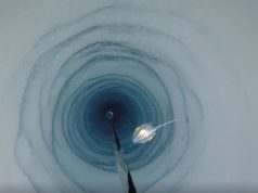 Kamera British Antarctic Survey menyusuri lubang bor sepanjang 900 meter di Rak Es Filchner-Ronne. (Makhluk laut dalam foto tidak terkait dengan penemuan)