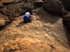 Ukiran jerapah Sahara Kuno