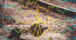 Sistem yang Digunakan dalam Pemrosesan Informasi dan Memori di Otak