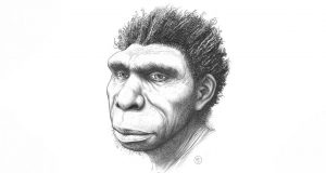 Para Ilmuwan Menamai Leluhur Langsung dari Manusia Modern