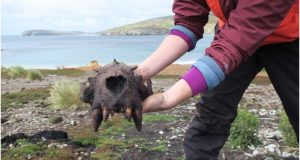 Bukti Kedatangan Manusia Prasejarah di Kepulauan Falkland Ditemukan Para Peneliti