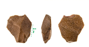 Manusia Prasejarah Menggunakan Alat-alat Batu Bekas Untuk Menghargai Leluhurnya