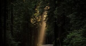 Campuran Ban Bekas dan Aspal Bisa Memperkuat Jalan Hingga Dua Kali