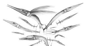 Hewan Menjadi Lebih Cepat dan Lebih Pintar Setelah Kepunahan Massal Permian