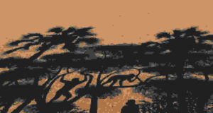 Nenek Moyang Manusia Berjalan dengan Dua Kaki Tujuh Juta Tahun yang Lalu