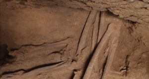 Penguburan Kuno di Alor Mengungkap Migrasi Manusia di Asia Tenggara