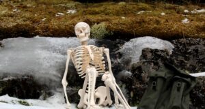 Bagaimana Penguburan Manusia Bisa Lebih Ramah Lingkungan?