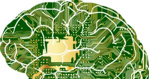 Otak Manusia Mungkin Menggunakan Komputasi Kuantum