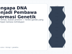 Mengapa DNA Menjadi Pembawa Informasi Genetik — Bukan Lemak, Bukan Protein