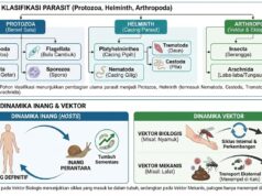 Klasifikasi Inang, Vektor, dan Agen Penyakit dalam Parasitologi