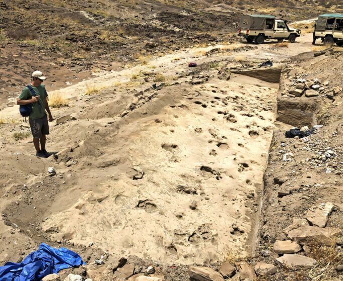 fossil-footprints-reve-2