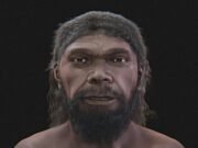 Rekonstruksi Wajah Homo sapiens Berusia 315.000 Tahun: Mengungkap Wajah Manusia Purba dari Maroko