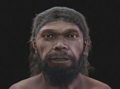 Rekonstruksi Wajah Homo sapiens Berusia 315.000 Tahun: Mengungkap Wajah Manusia Purba dari Maroko