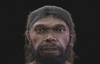 Rekonstruksi Wajah Homo sapiens Berusia 315.000 Tahun: Mengungkap Wajah Manusia Purba dari Maroko